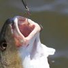 Outdoor Fishing Cranked Stripers Hook Set - Black - Fishing Hooks