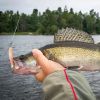 Outdoor Fishing Floating Soft Bait 8cm-5g Bionic False Lure - Multi-Color - 2#