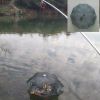 Fishing Bait Trap Crab Net Crawdad Shrimp Cast Dip Cage Fish Minnow Foldable - Green